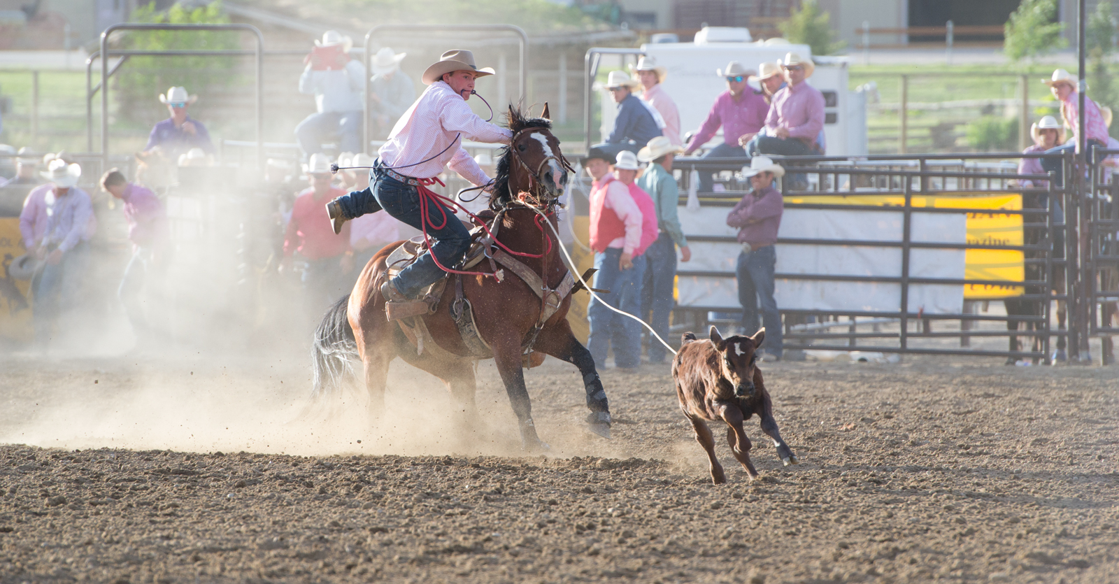 Wyoming High School State Finals Rodeo Comes to Town [PHOTOS]