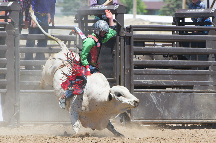 State Finals Rodeo Comes to an End [PHOTOS] - SweetwaterNOW
