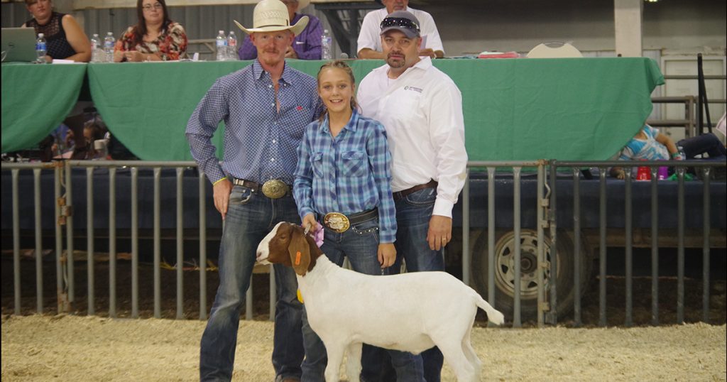 Support Sweetwater County 4-H at the Jr. Livestock Auction on August 4th