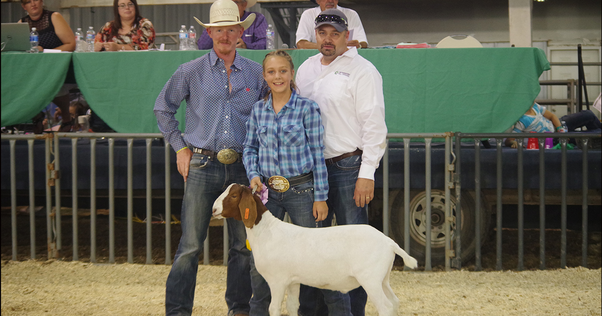 Support Sweetwater County 4-H at the Jr. Livestock Auction on August 4th