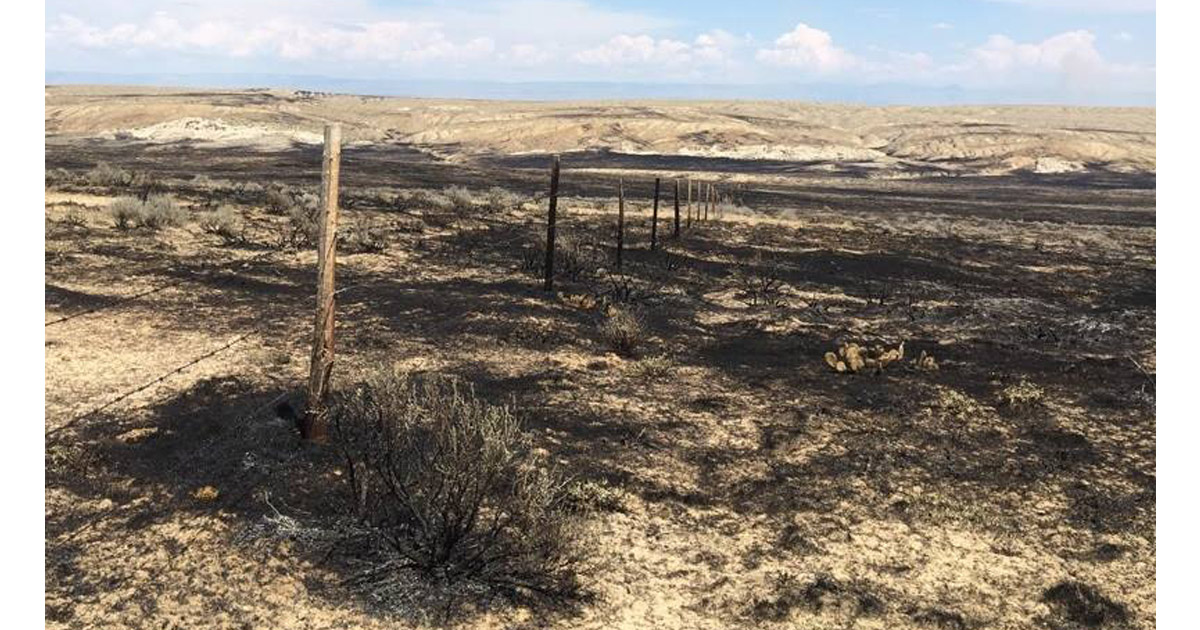 Terek Fire Mapped at 42,267 Acres and 85% Contained