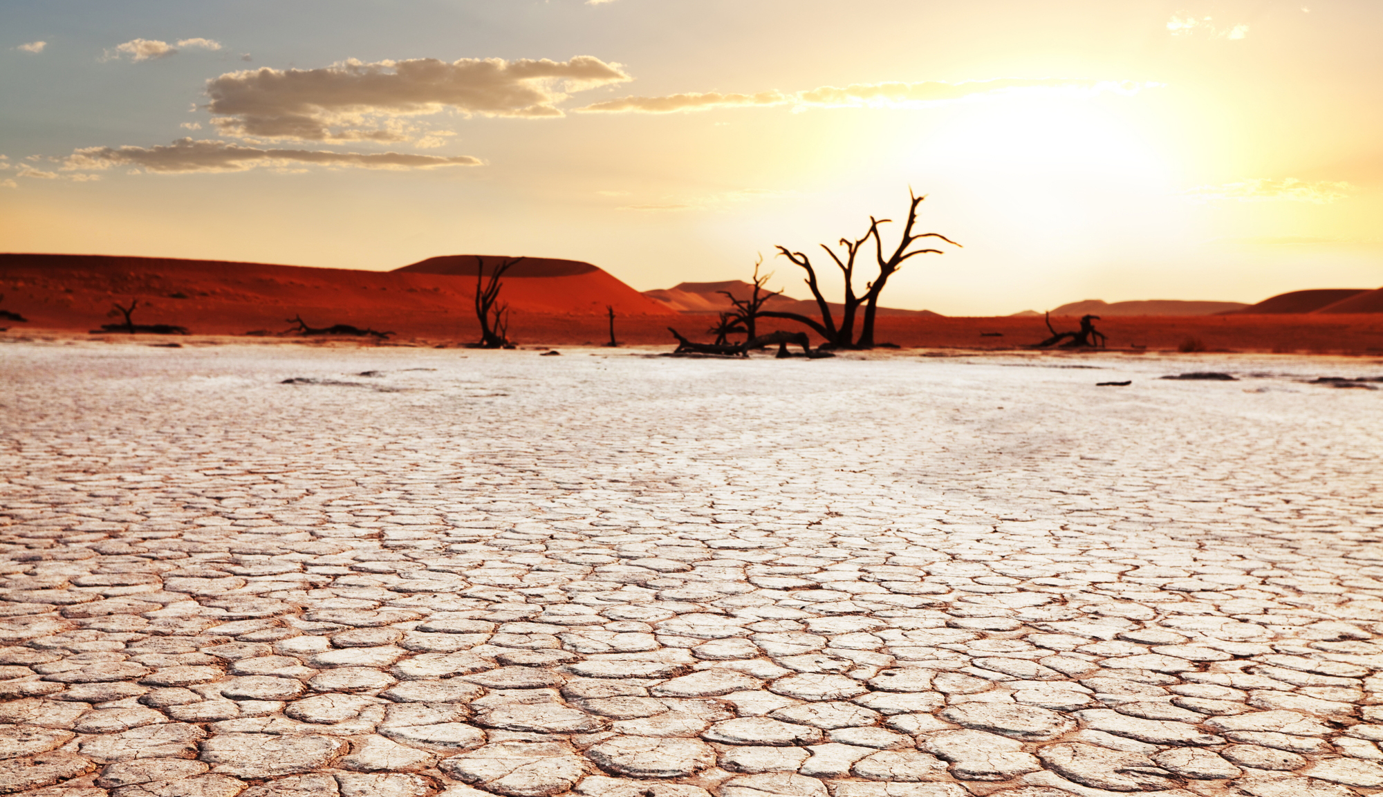 Temperatures Near Record Highs