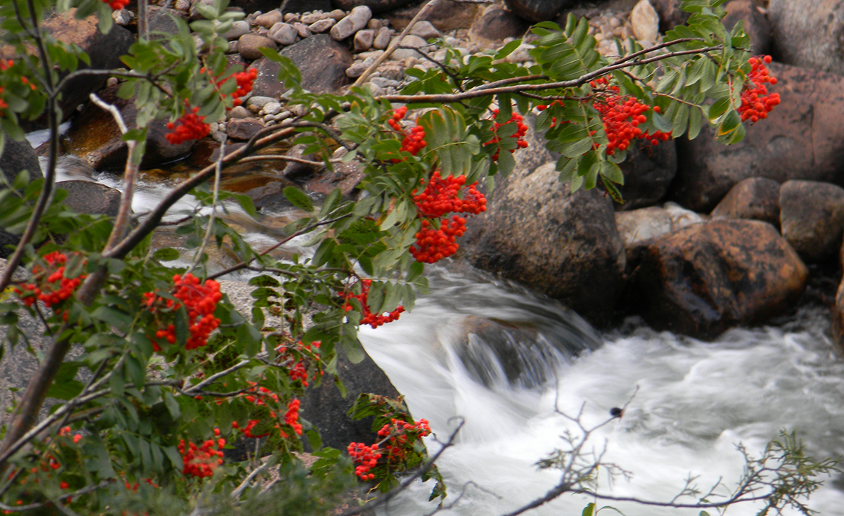 Paint the Parks in Lander’s Upcoming Plein Air in the Park