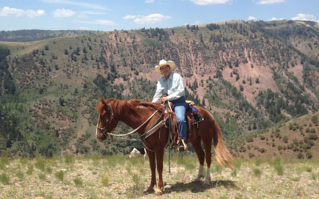 Adopt a Gentled Wild Horse or Burro at the BLM–Wyoming Honor Farm Fall Adoption