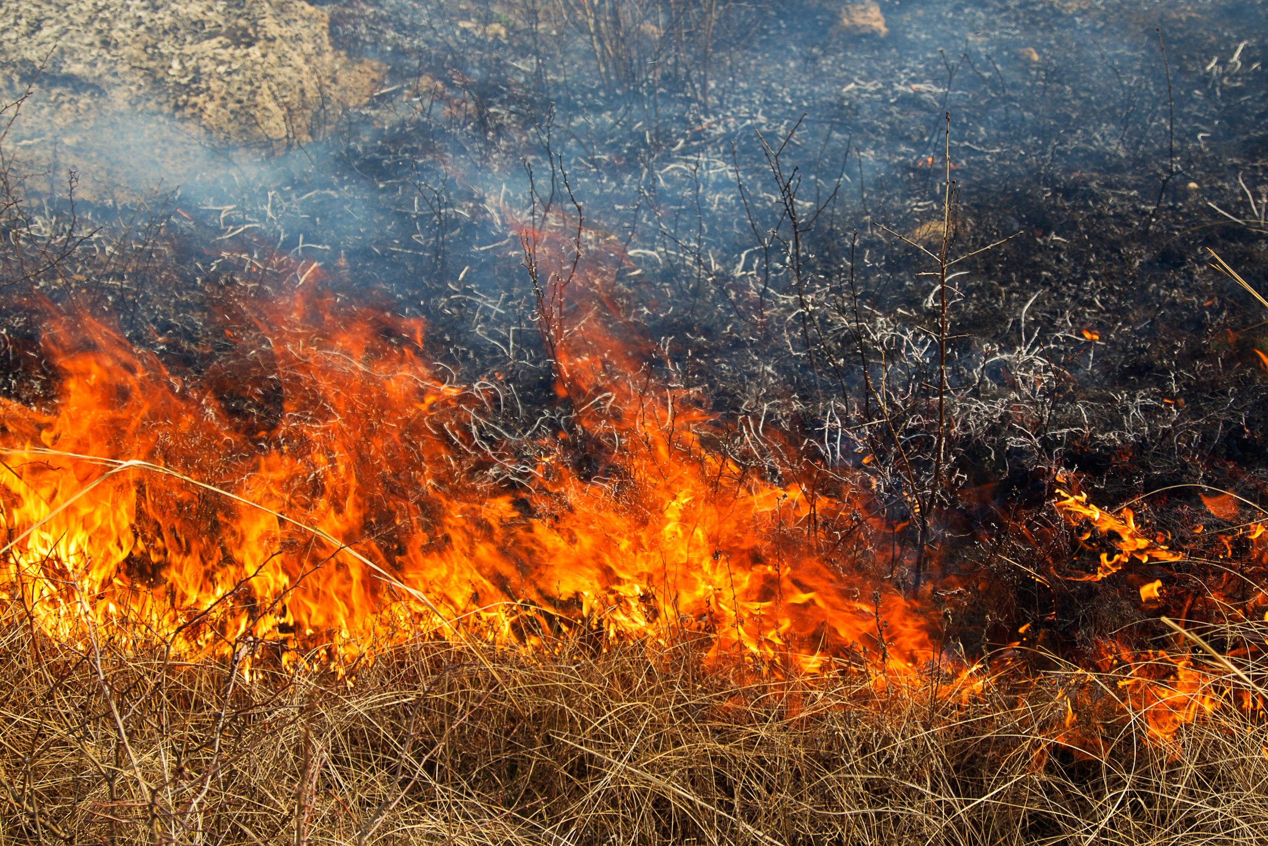 Three Homes Destroyed in Platte County Britania Fire