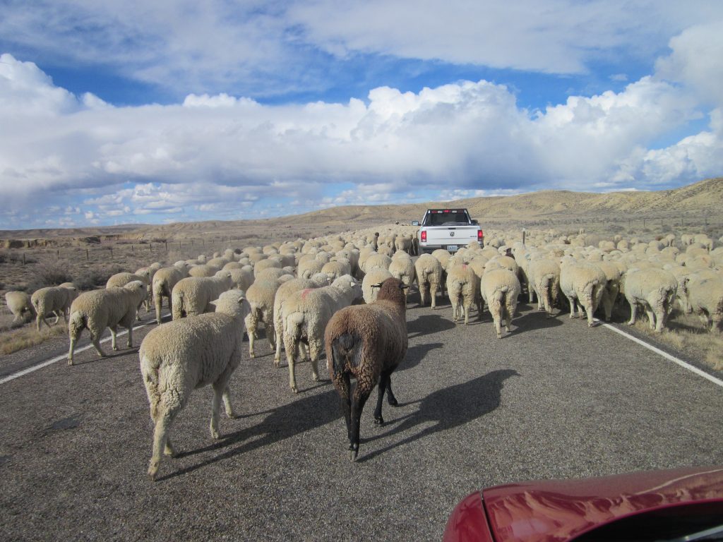 OPINION: Mr. Gagnon Is Out of Order at the Conservation District