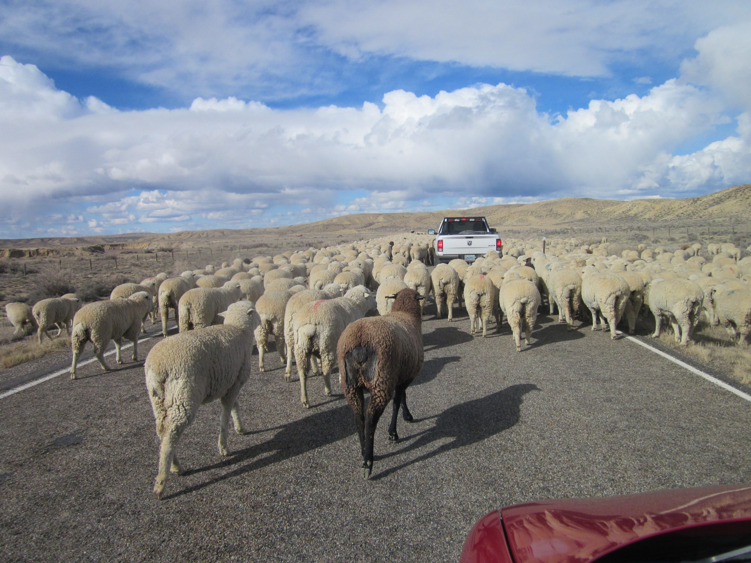 OPINION: Mr. Gagnon Is Out of Order at the Conservation District