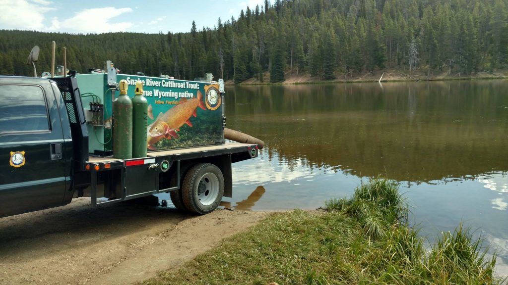 WY Game & Fish Plans Dollar Lake Restoration: Has Become 99% White Suckers