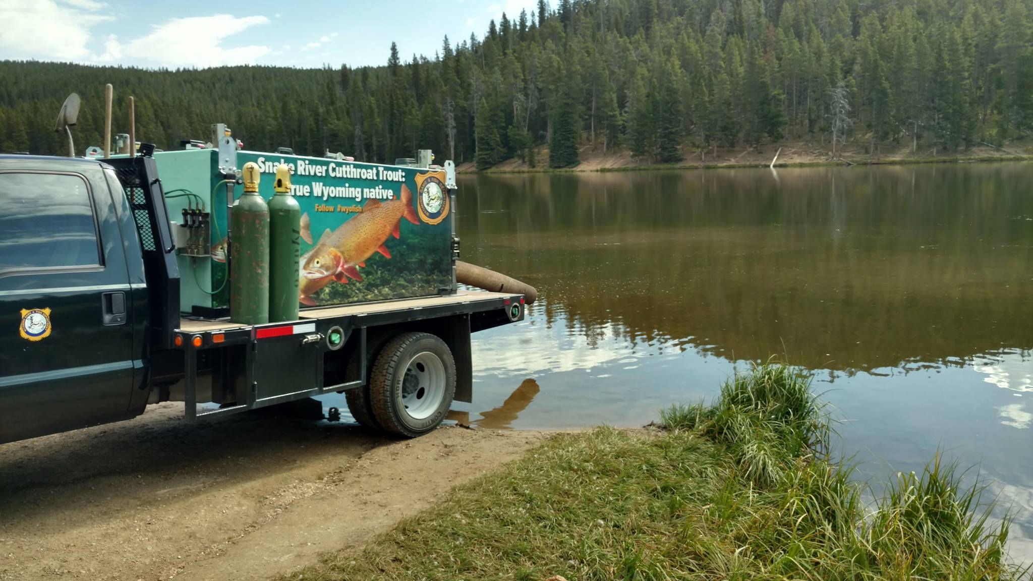 WY Game & Fish Plans Dollar Lake Restoration: Has Become 99% White Suckers