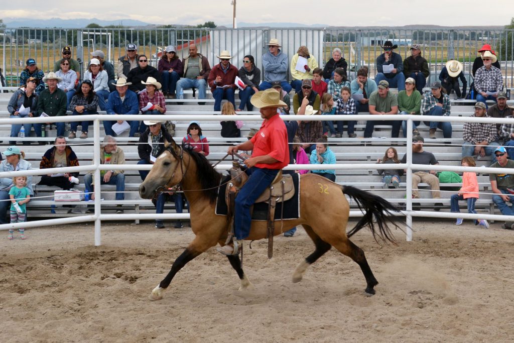 Thirty-Year Partnership Sees Another Successful Wild Horse and Burro Adoption