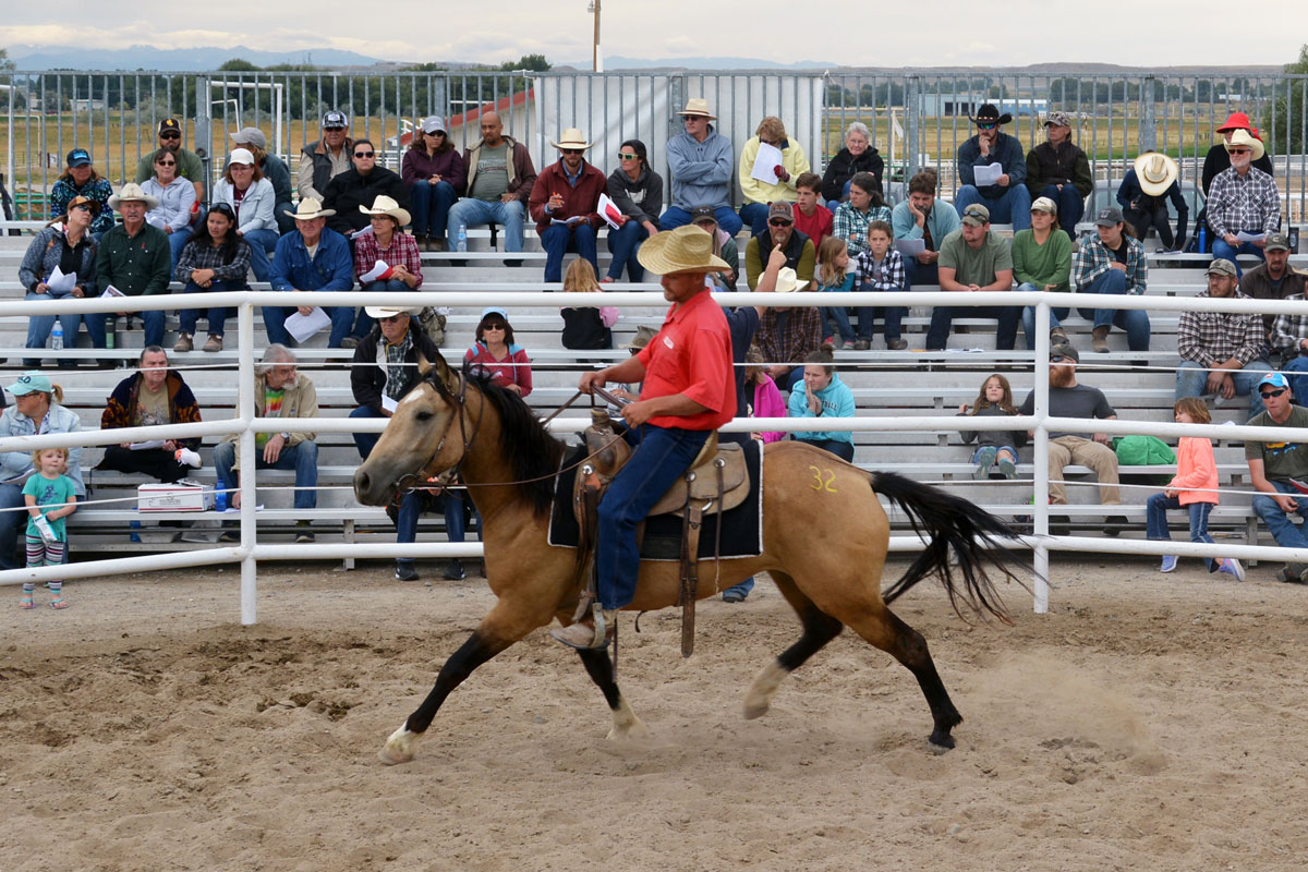 Thirty-Year Partnership Sees Another Successful Wild Horse and Burro Adoption