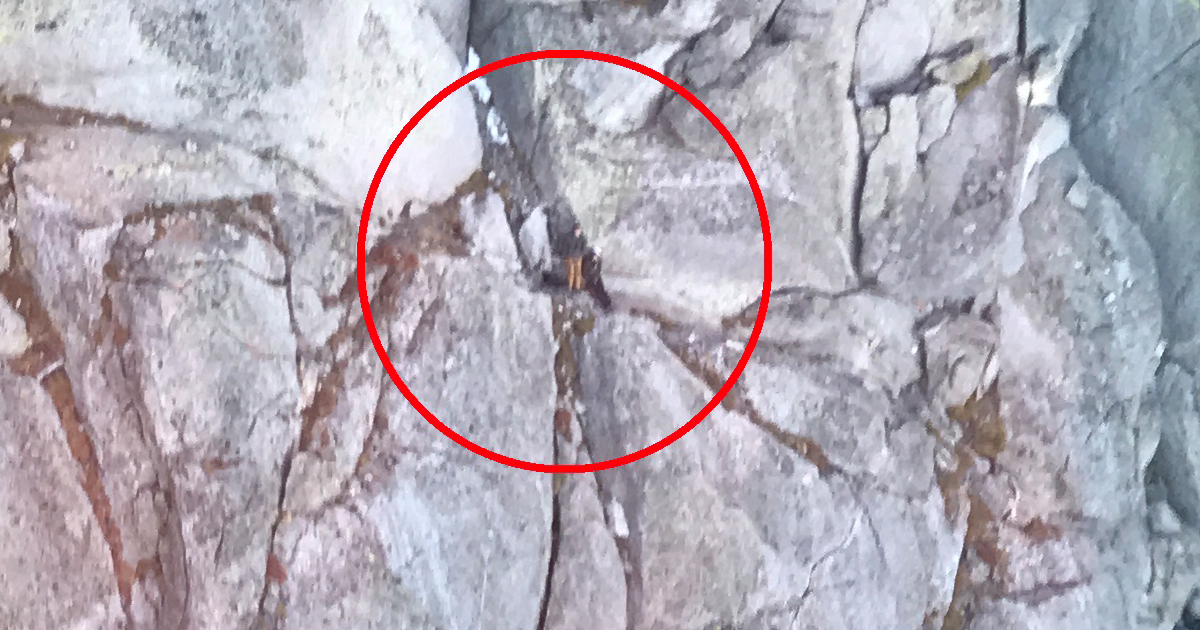 Trapped Climbers Rescued Near Cirque of Towers Over Weekend