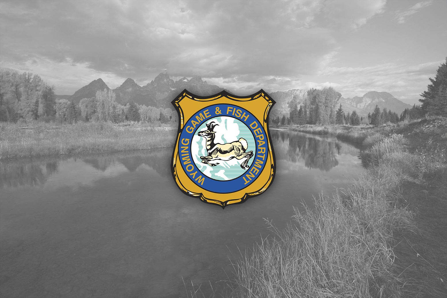 Landowners Express Concerns with Changes to Hunting Licensing