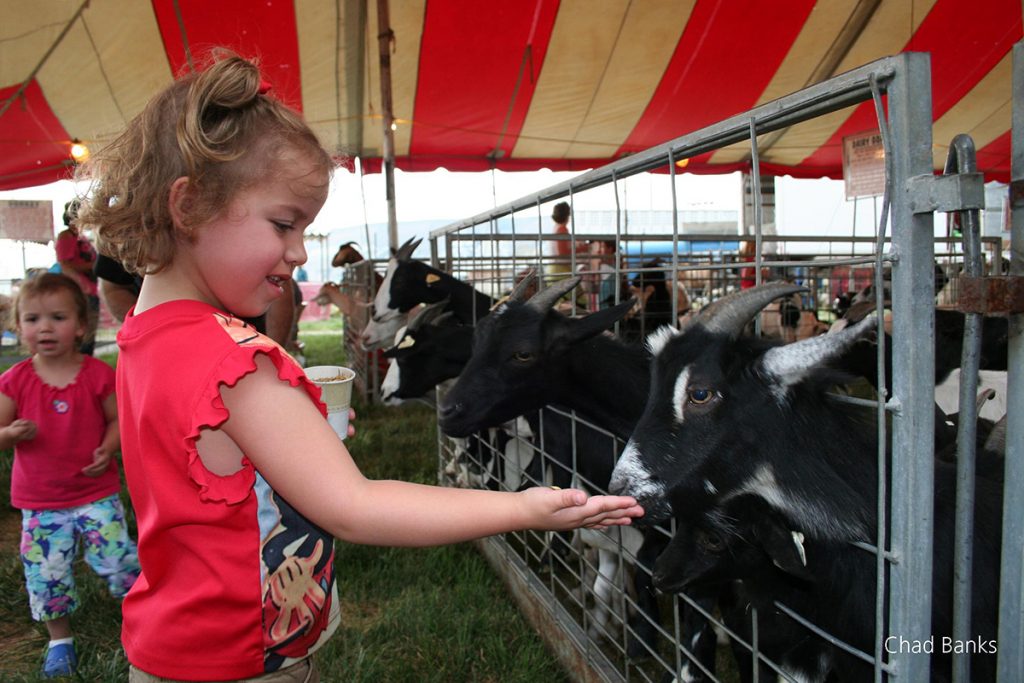 Where Does All That Money Go?