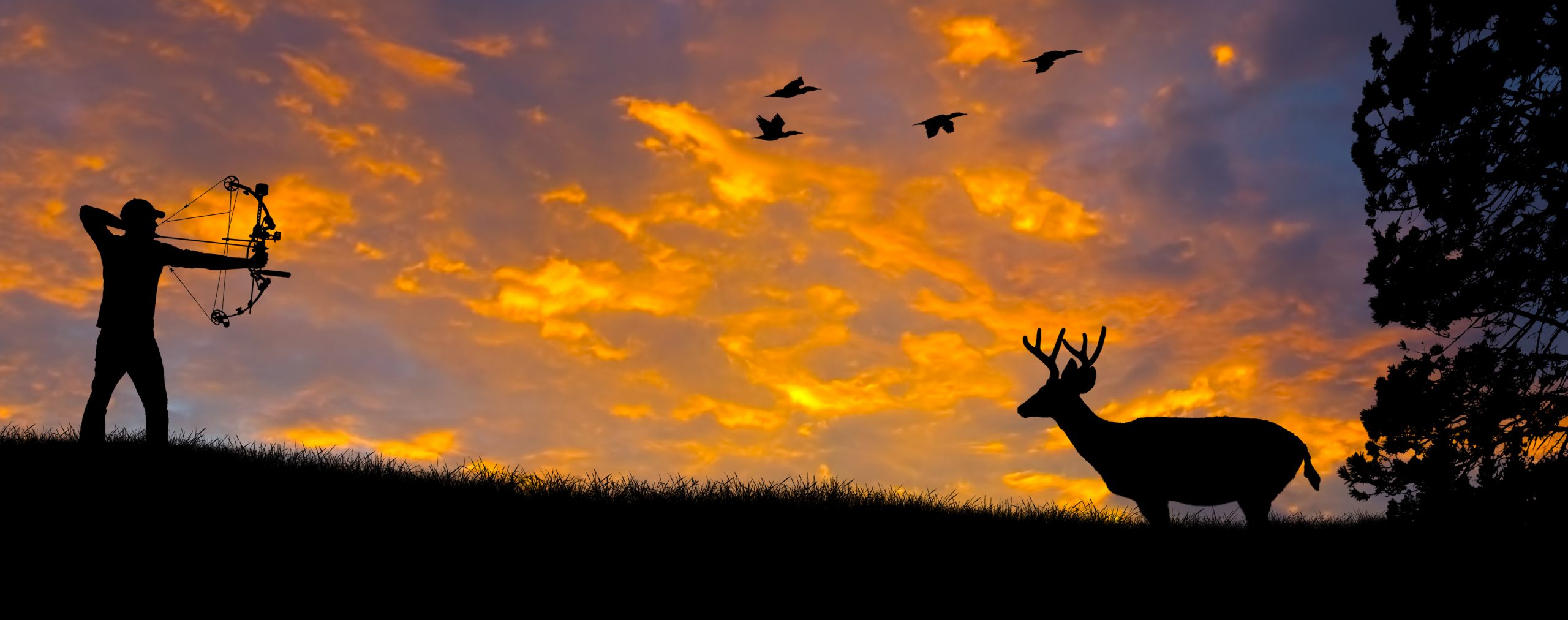 2018 Hunting Guide