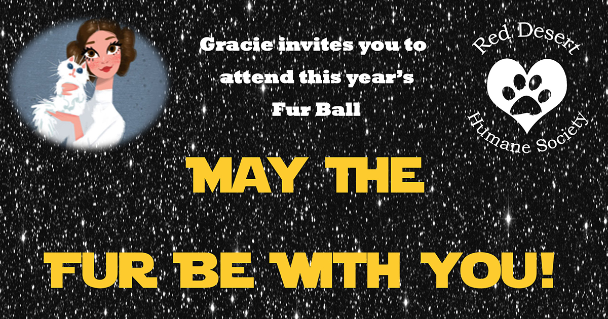 Red Desert Humane Society Hosts Fur Ball