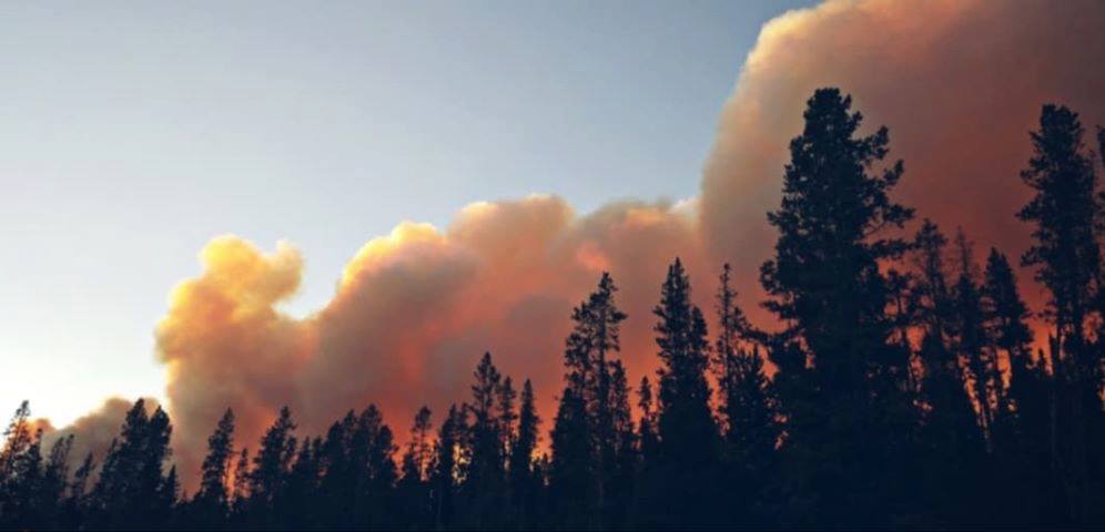 Red Cross Opens Evacuation Center in Pinedale