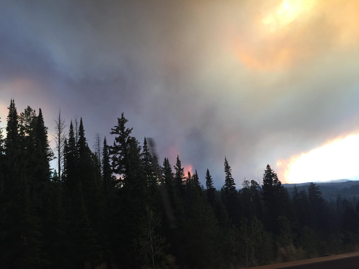 Suppression Costs for Roosevelt Fire Reach $22 Million