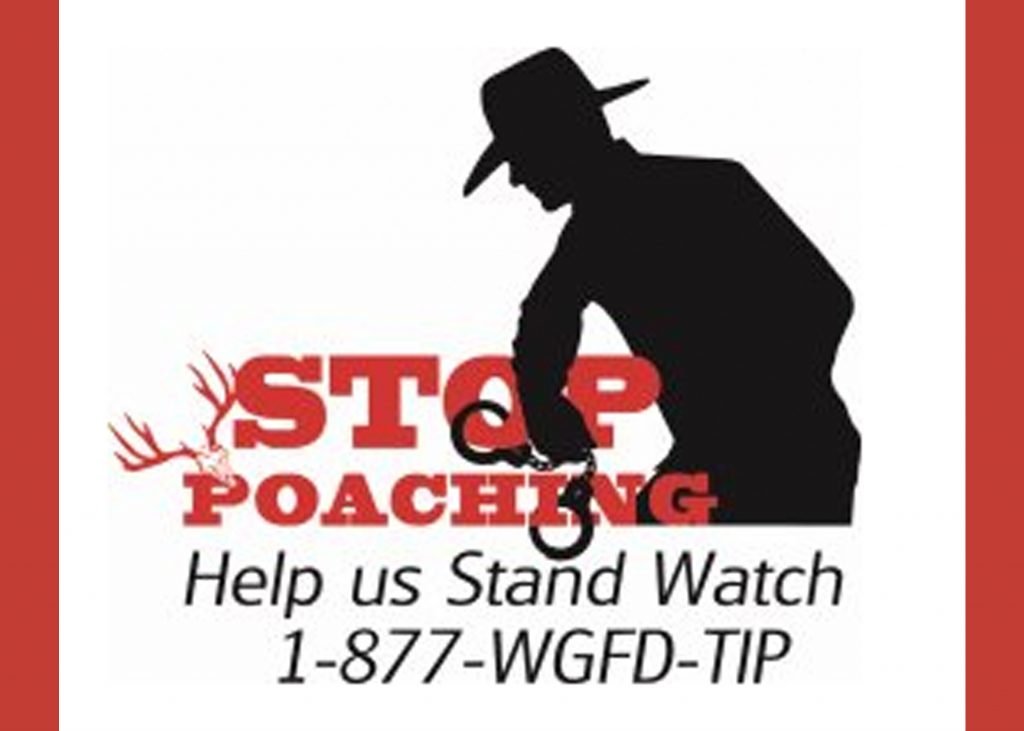 Help the WGFD Stop Poaching with These Easy Steps