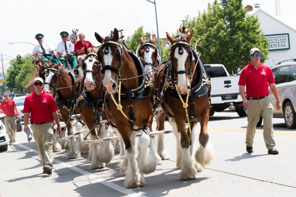 Focus on Sweetwater County: The Year in Photos