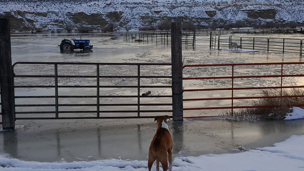 Ice Jam in the Green River Causes Concern Among Jamestown Residents
