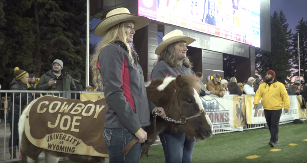 PETA Looking to Eject Mini Horse “Cowboy Joe” from Wyoming Football Games