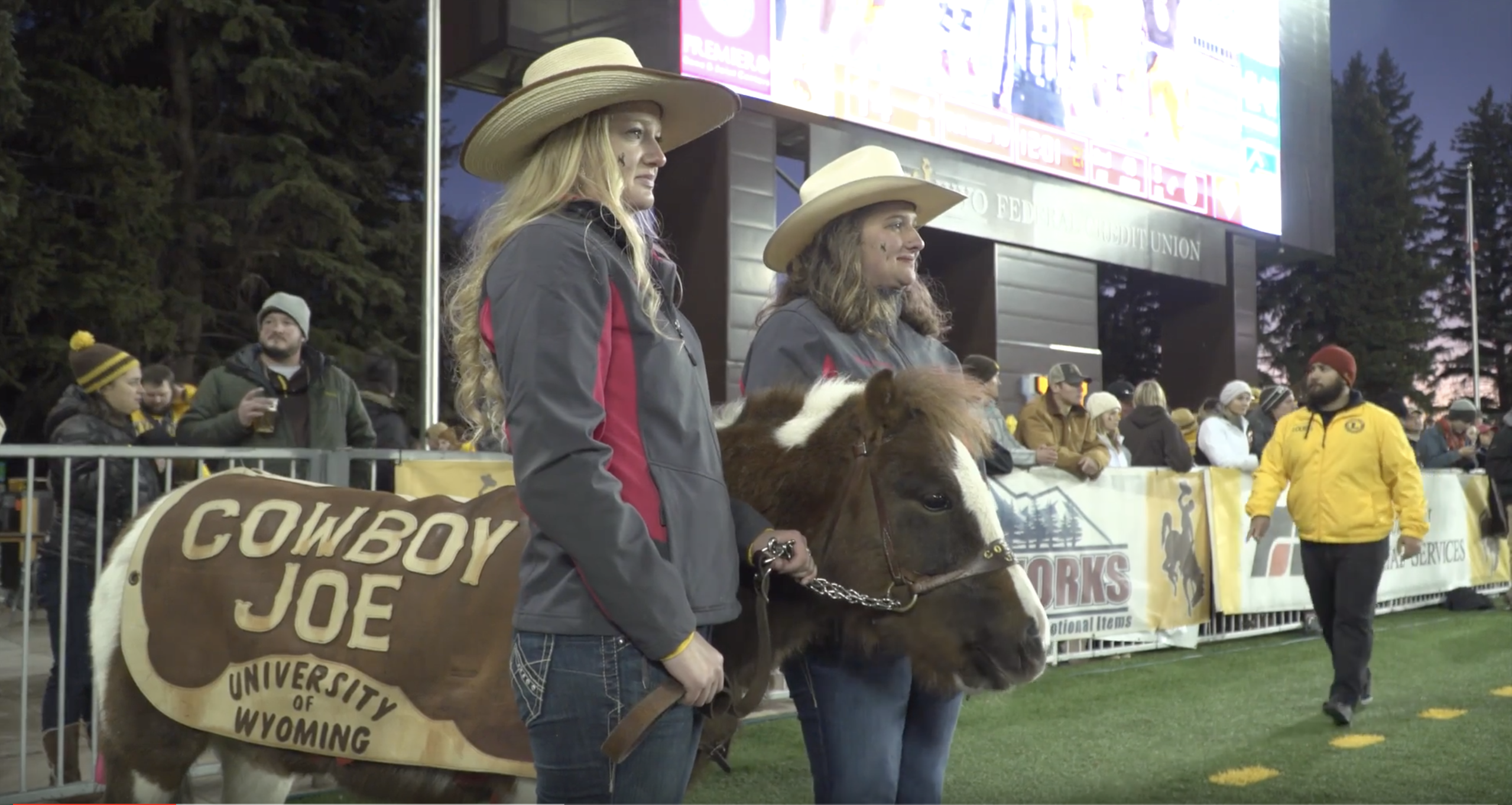 PETA Looking to Eject Mini Horse “Cowboy Joe” from Wyoming Football Games