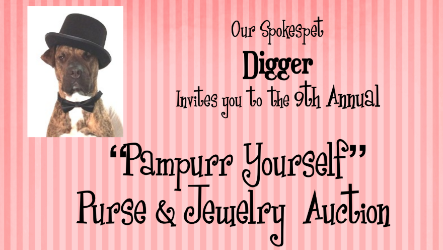 You’re Invited to the 9th Annual Pampurr Yourself Purse & Jewelry Auction