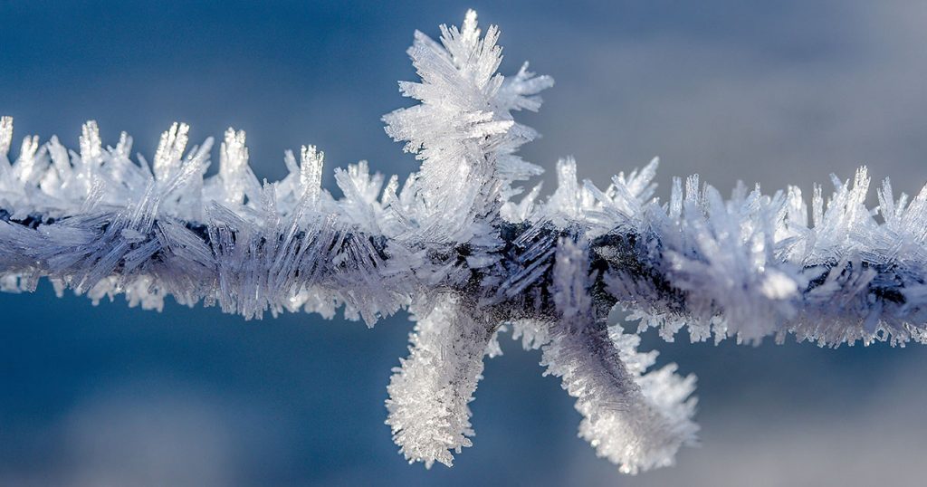[VIDEO] Hot Water to Ice Crystals: How to Dress for Extreme Cold