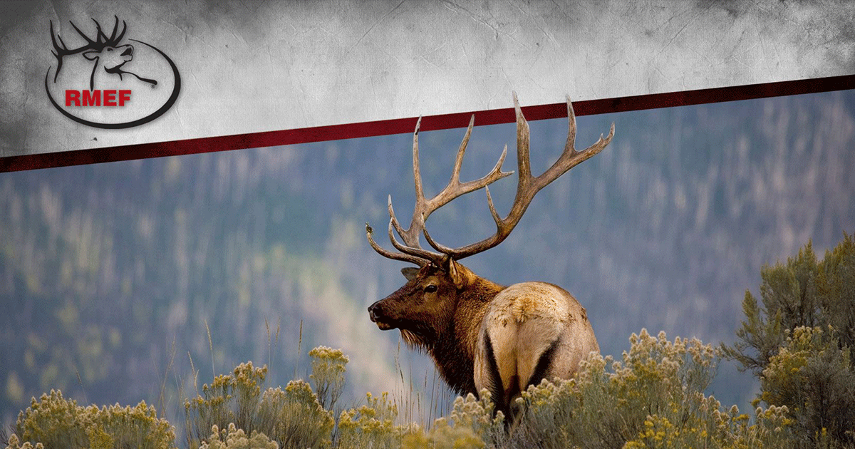 Don’t Miss the Annual Rocky Mounatin Elk Foundation Sweetwater Chapter Banquet!
