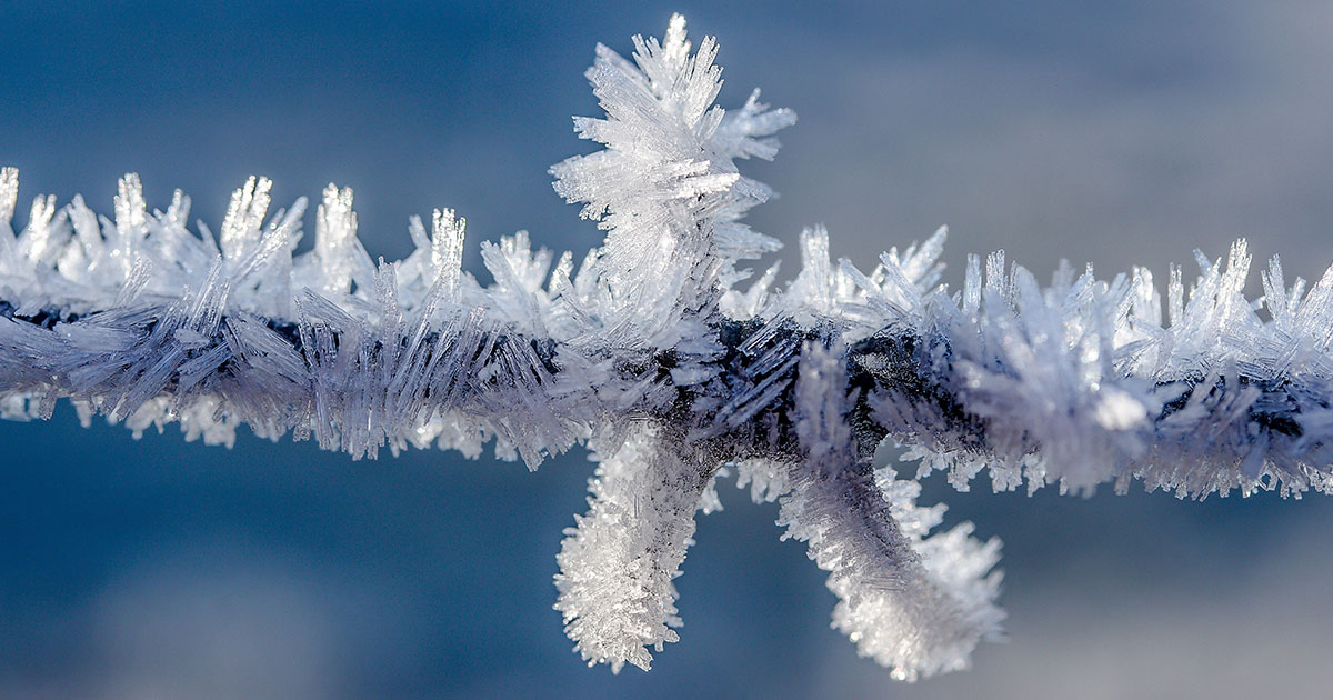 [VIDEO] Hot Water to Ice Crystals: How to Dress for Extreme Cold