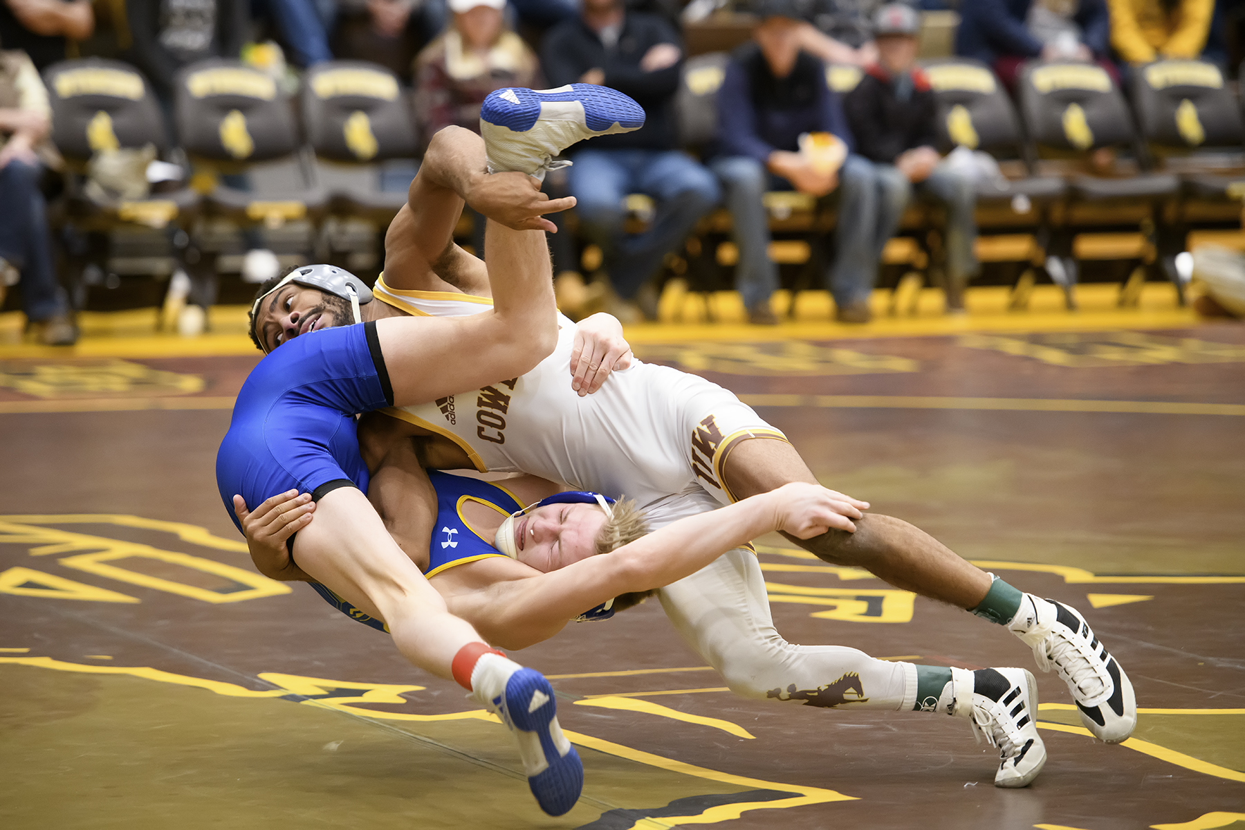 NCAA Coaches’ Panel and RPI Rankings Headline Handful of UW Wrestlers