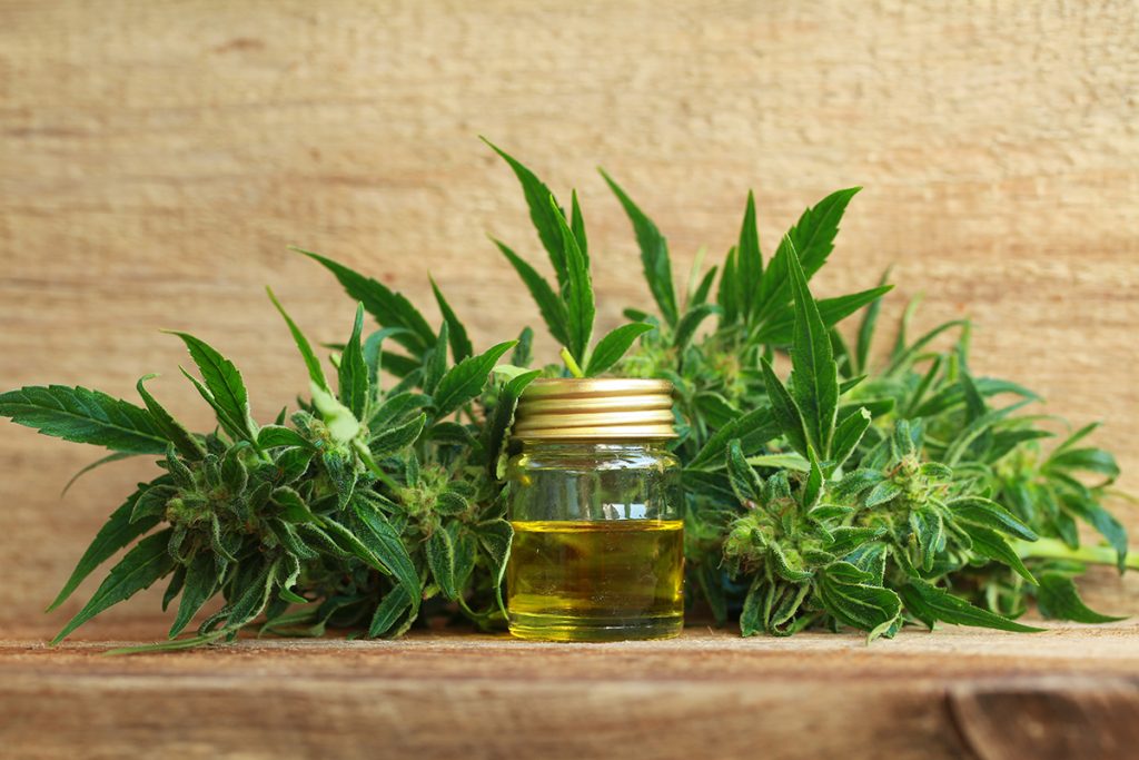 Hemp Bill On Its Way to Governor’s Office For Approval