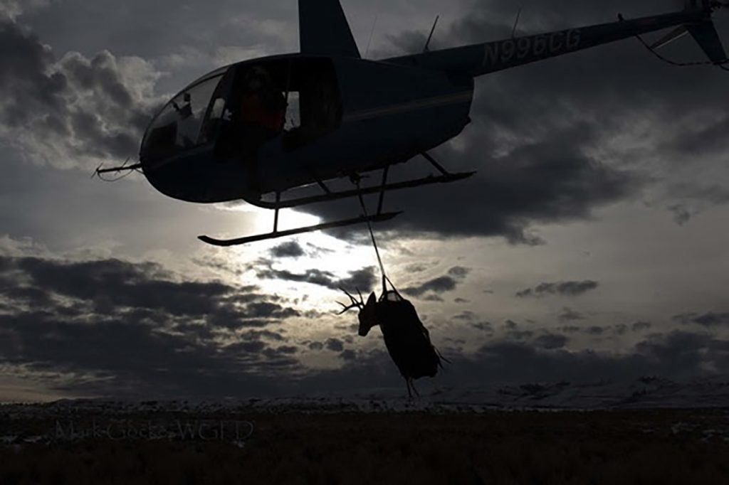 Wyoming Range Mule Deer Research Expanded