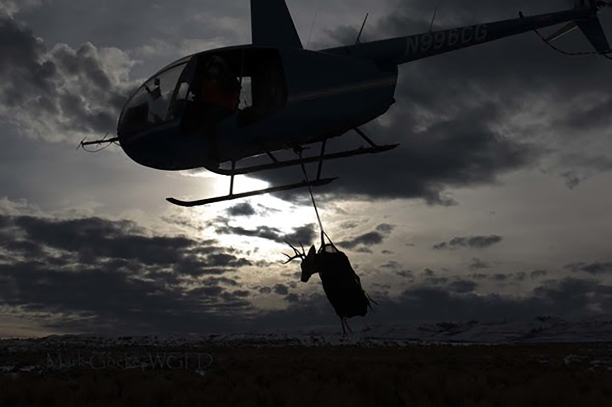 Wyoming Range Mule Deer Research Expanded