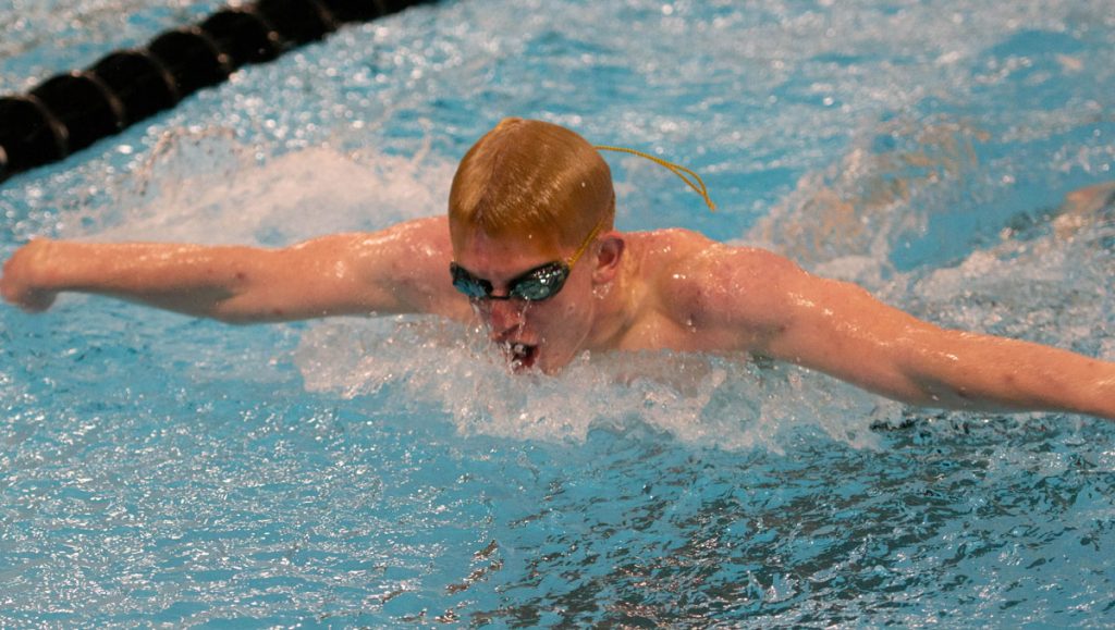 Tigers Swim Hosts Wolves for Last Dual of the Season