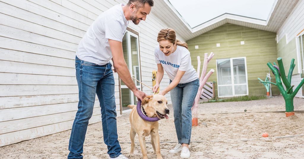 Animal Care Groups Discuss Common Goals During Special Meeting