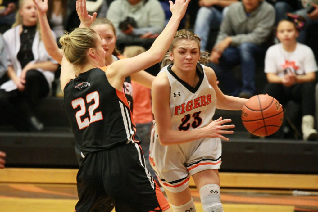 Lady Tigers Take the Court at the State Basketball
