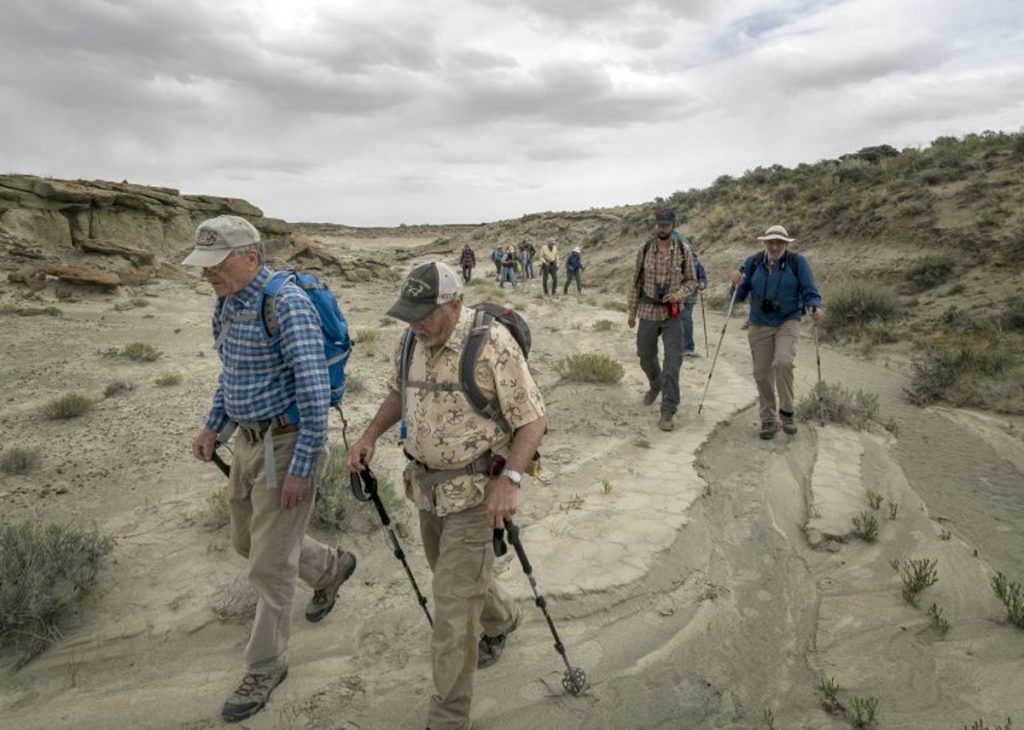 Explore Adobe Town this May