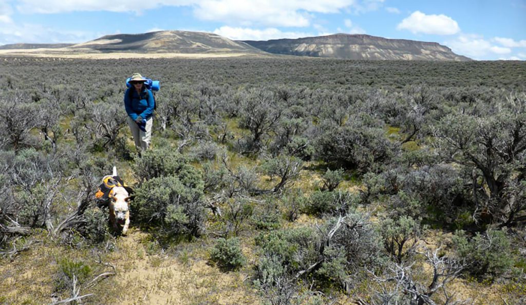 BLM Rock Springs to Temporarily Close Steamboat Mountain Area Roads