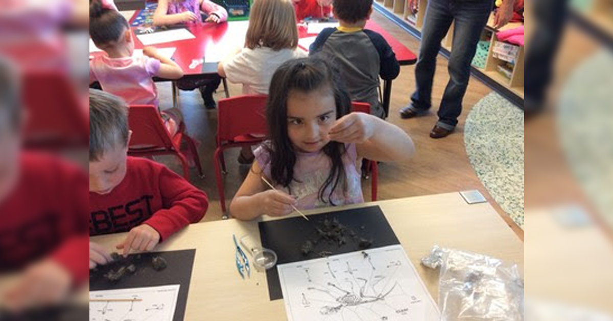 Green River Child Development Center Students Learn About Owl Ecology