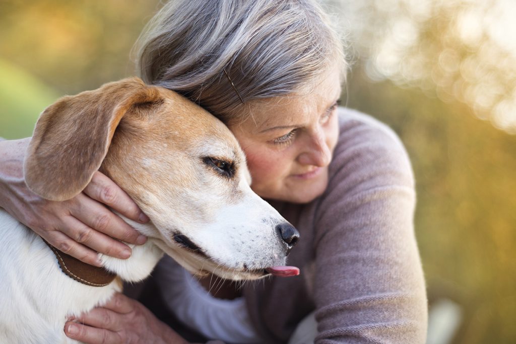 Local Community Centers Offer Care for Critters