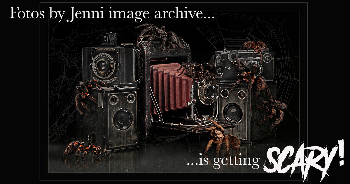 Secure Your Photo Archive From Fotos by Jenni Before It’s Too Late!