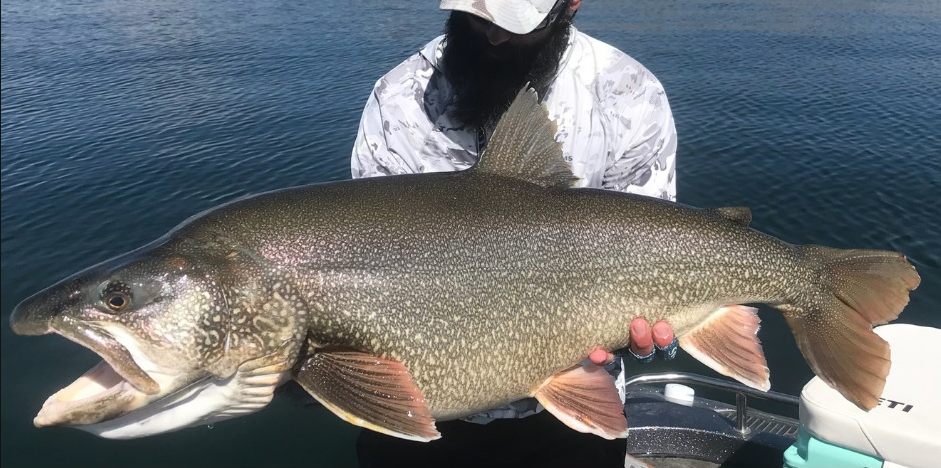 Man Reels in Record-Setting Trout at Flaming Gorge