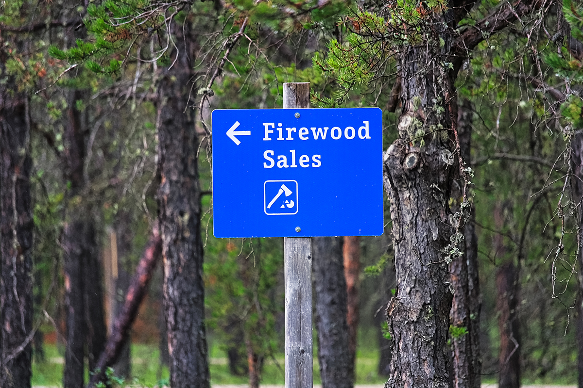 Firewood Permits for the Roosevelt Fire Burn Area