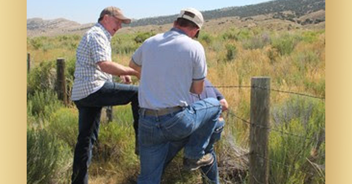 Southwest Sage-Grouse Working Group Meets June 27