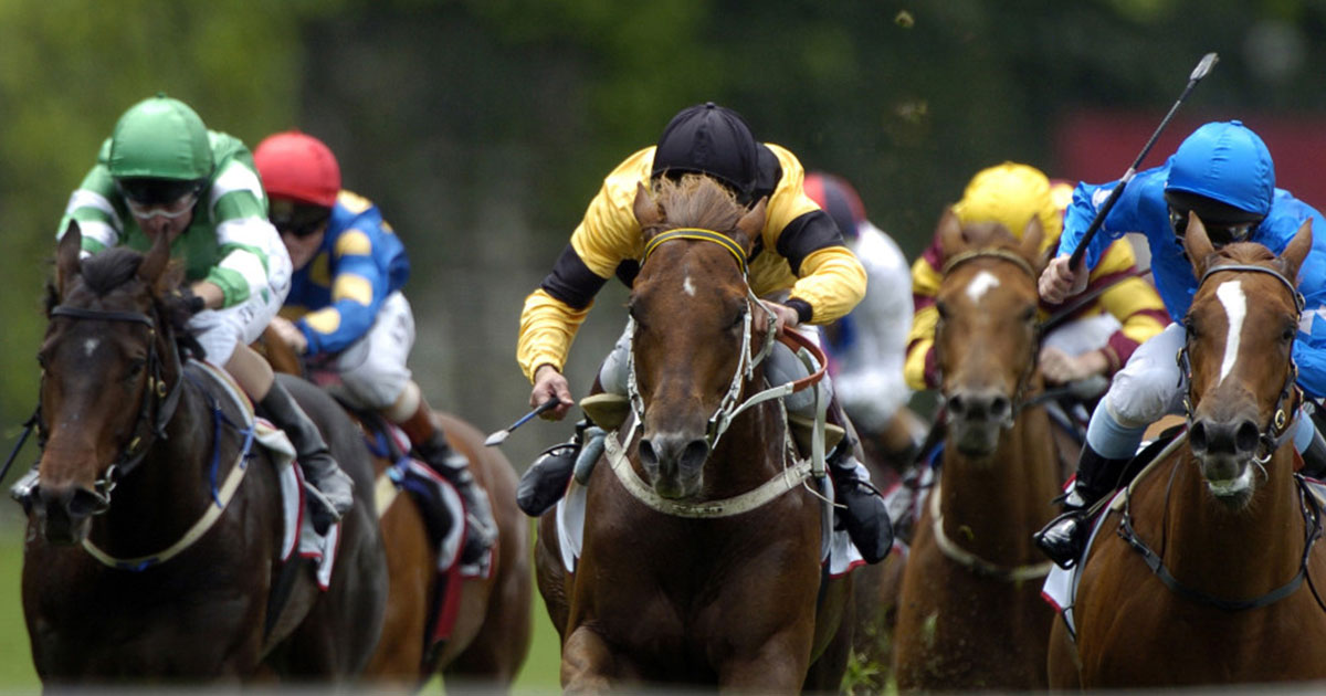 Town Bar & Grill to Host Horse Racing Wagering