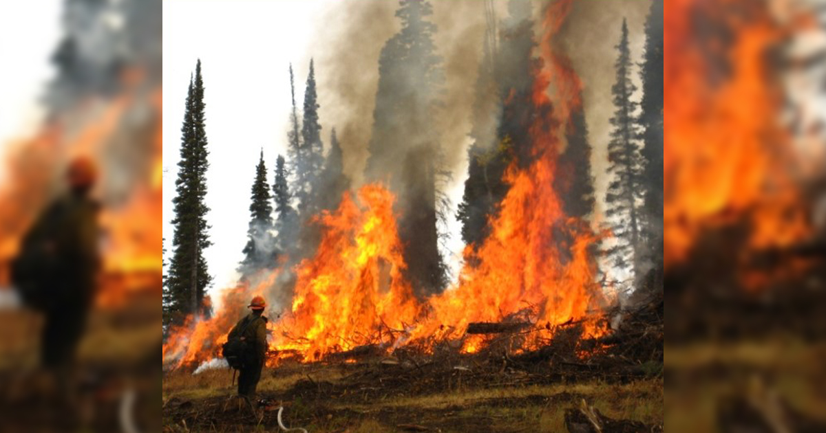 BLM to Conduct Prescribed Burns in Sublette, Lincoln Counties