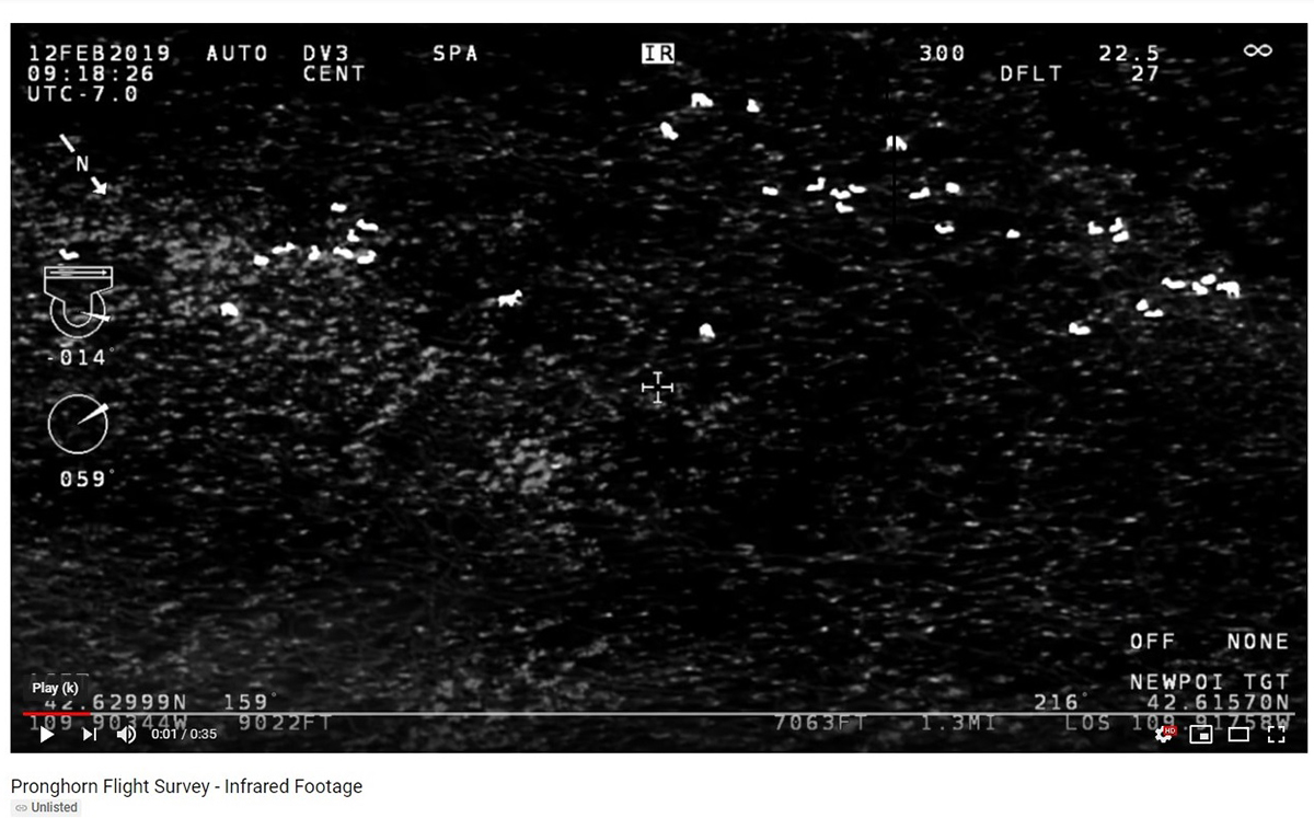 Pinedale Anticline Wildlife Monitoring Goes Infrared