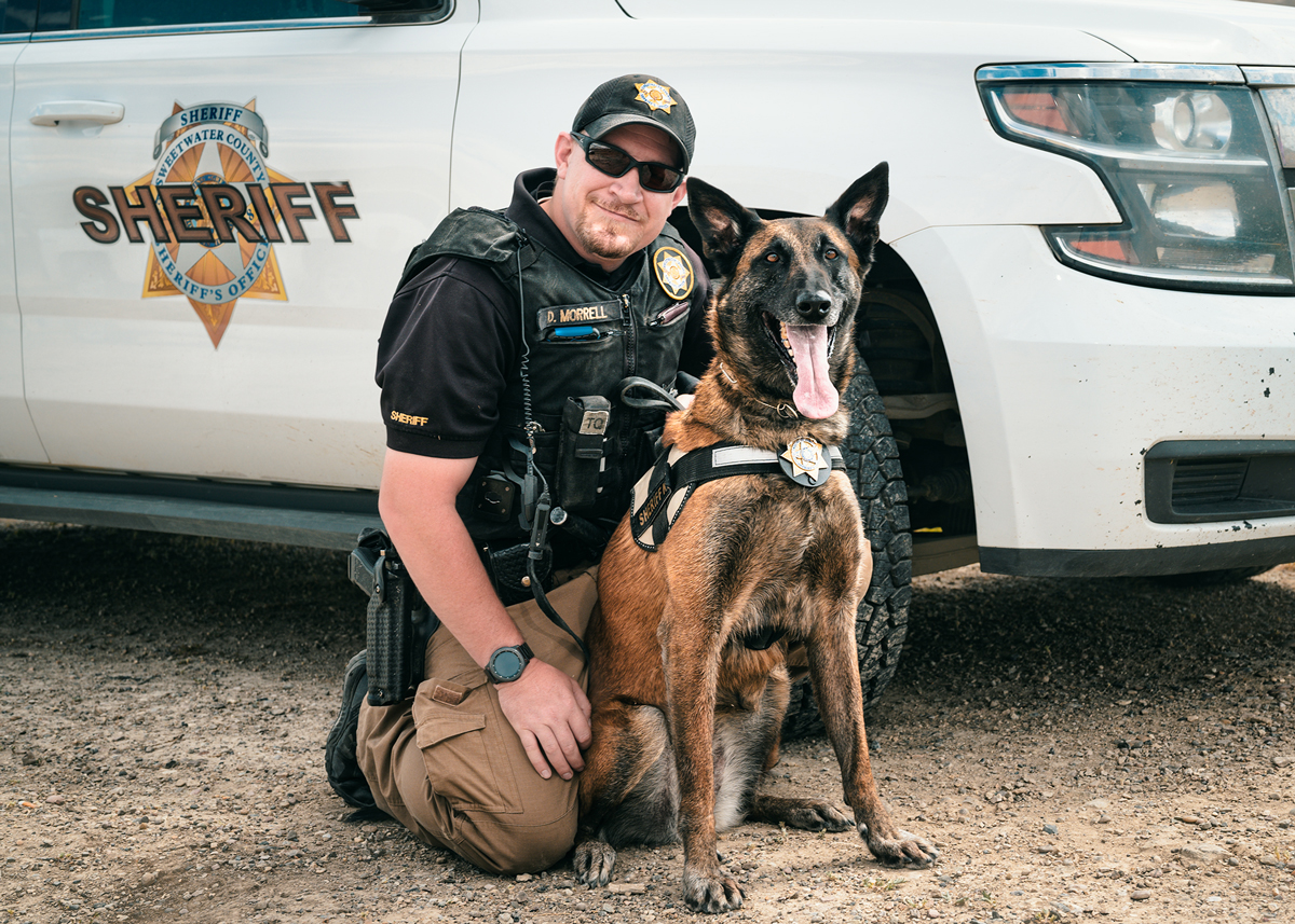 K-9 Nabs Peta Award for Rescuing Missing Child